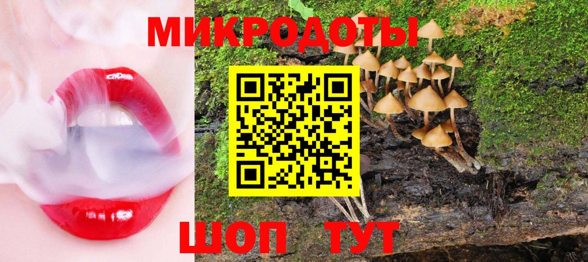 Псилоцибиновые грибы прущие грибы  Псилоцибиновые грибы мицелий  Дивногорск  Вход с VPN 