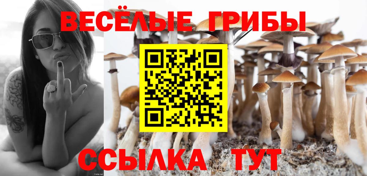 Псилоцибиновые грибы ЛСД Дивногорск